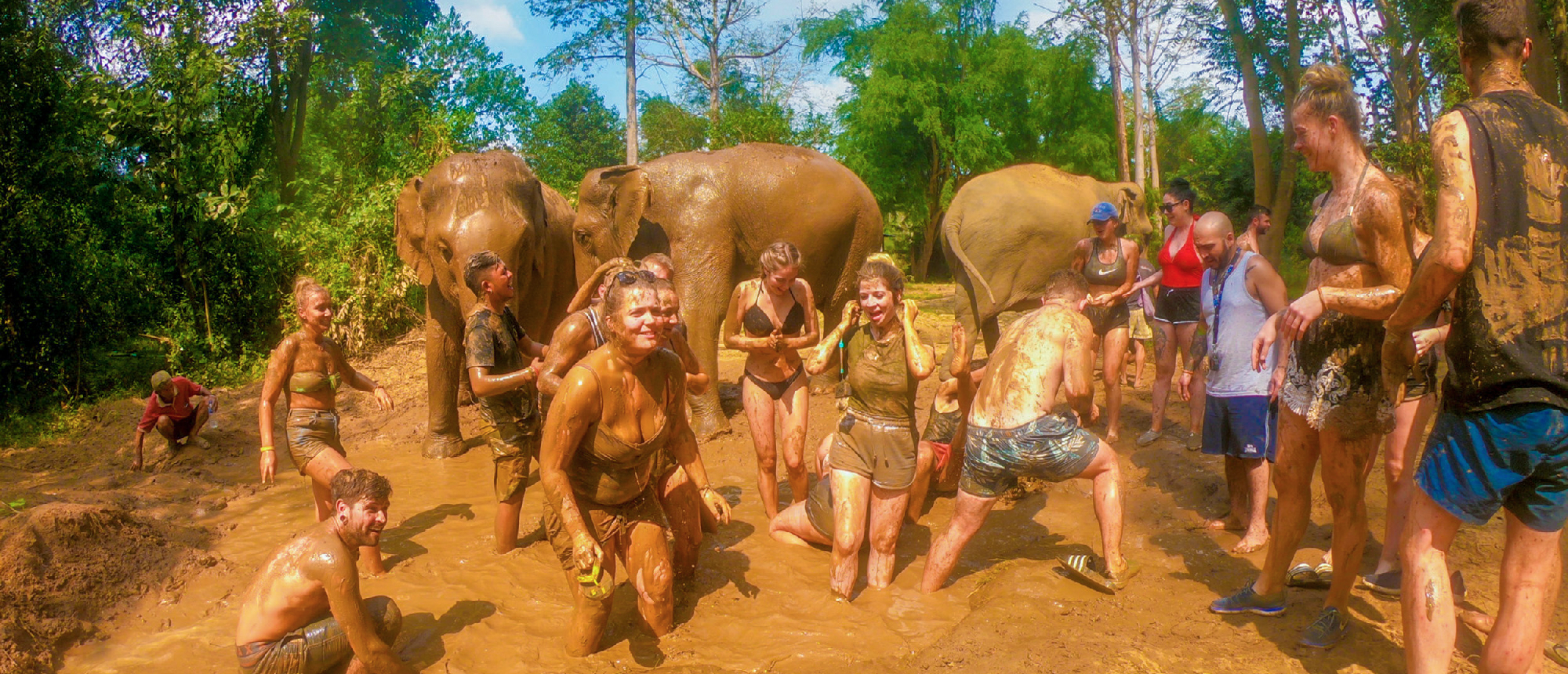 Backpacking group playing in the mud with elephants during a fun mud bath at the sanctuary