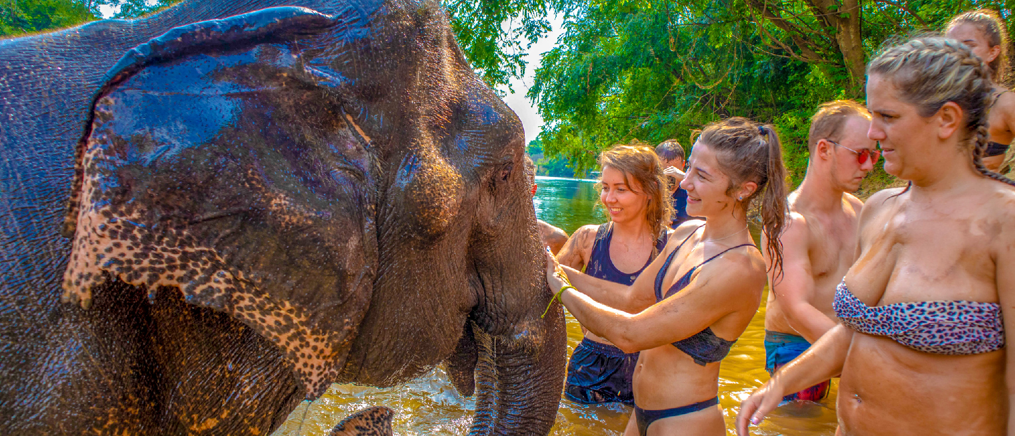 Backpacking group washing a muddy elephant at a sanctuary