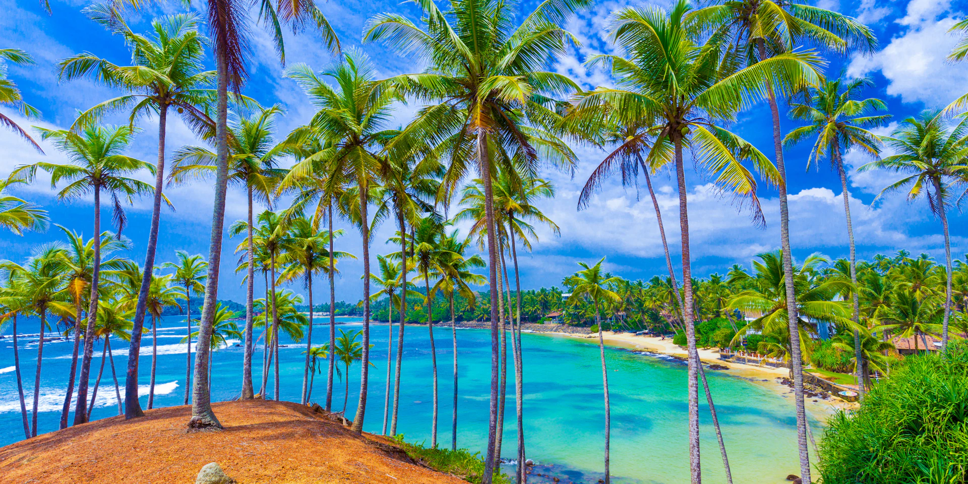 Tall palm trees line a reddish hill overlooking a stunning turquoise bay and sandy beach in Sri Lanka.