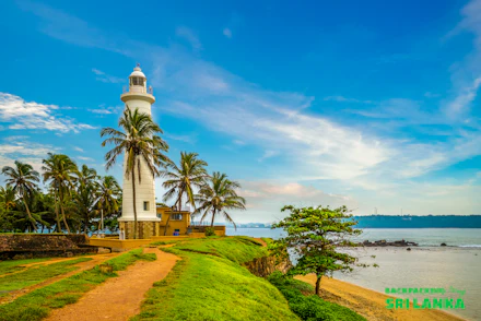 Iconic white lighthouse stands on a grassy cliff overlooking the ocean with palm trees in Sri Lanka.