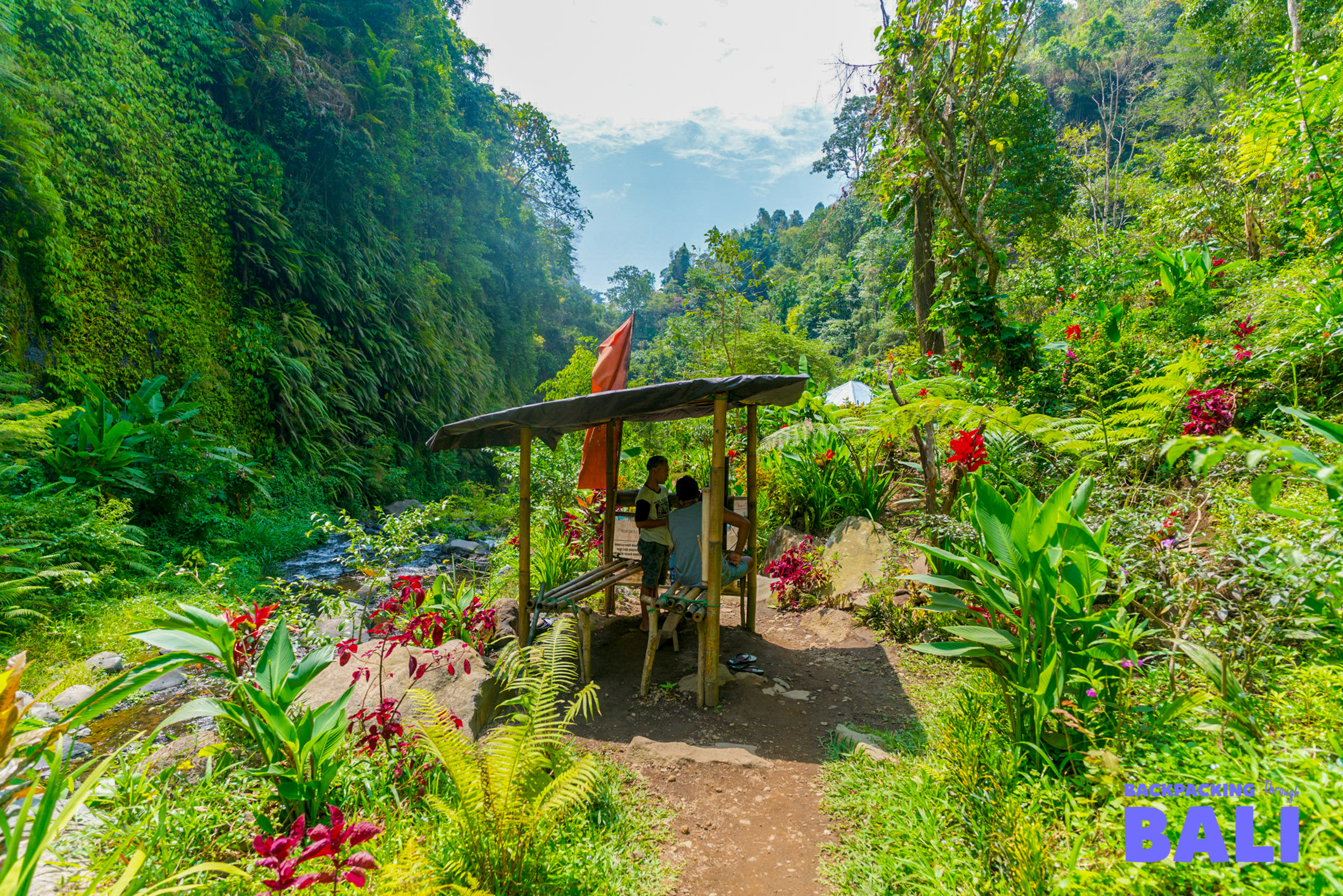Pathway through a tropical garden with a wooden gate