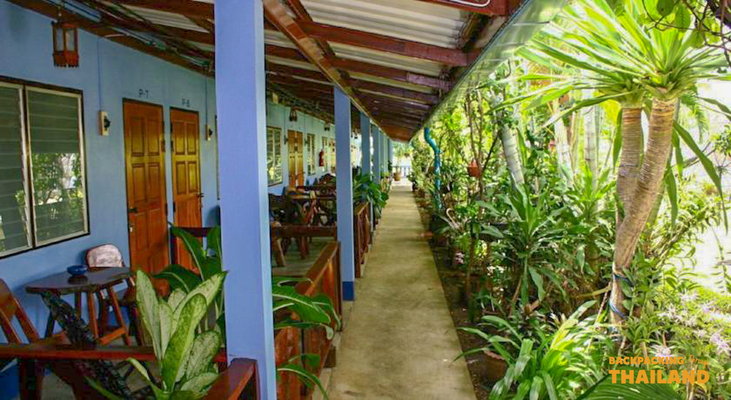 Lush garden walkway between wooden bungalows at the resort accommodation