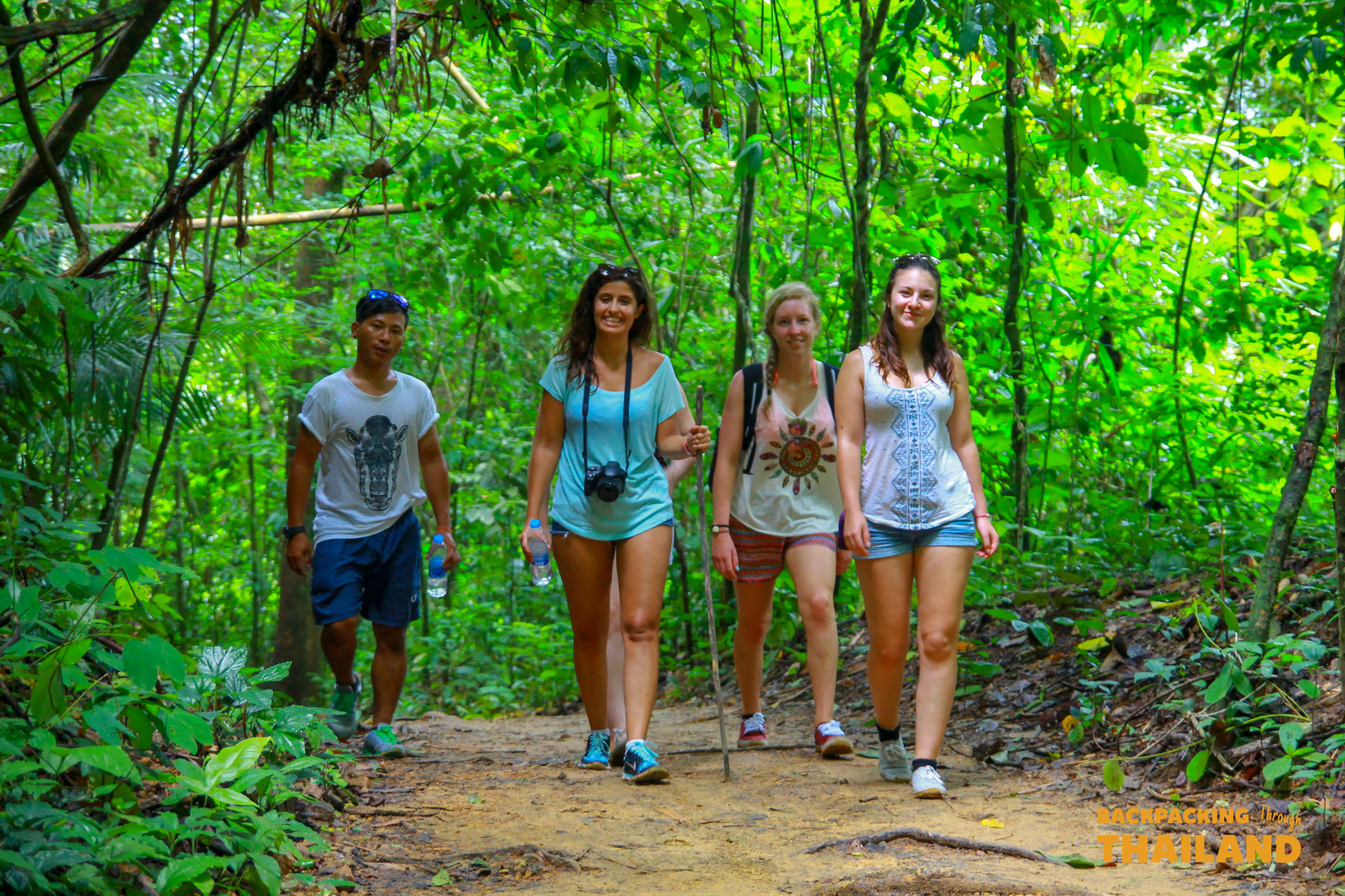 Backpackers trekking along a forest trail surrounded by lush greenery, Day 8 activity