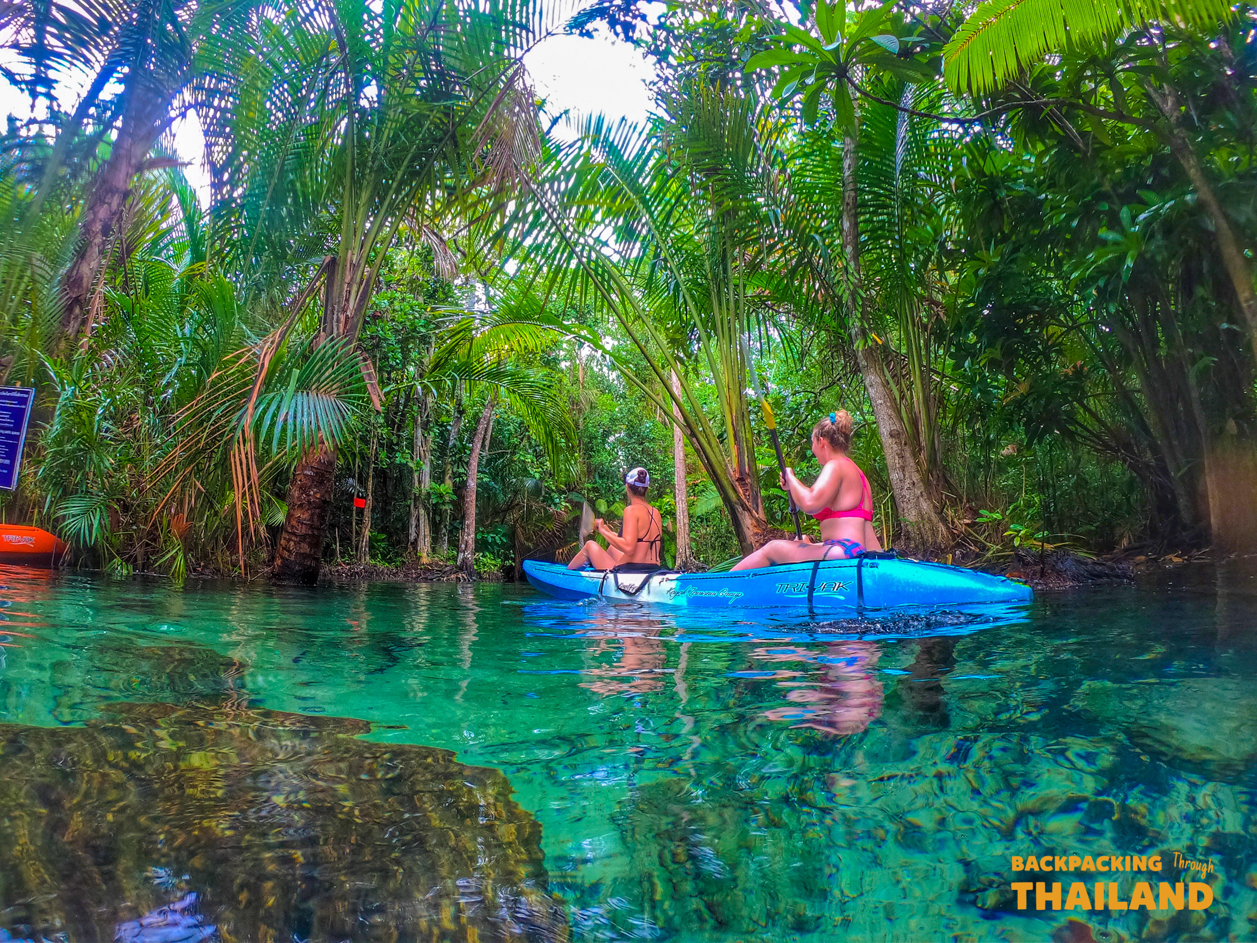 Kayakers paddling on a serene turquoise stream surrounded by lush foliage, Day 10 activity