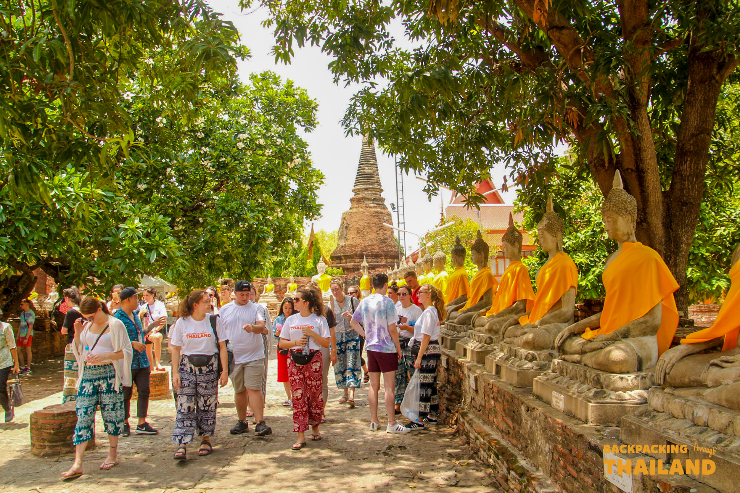Backpackers explore ancient temple ruins in Ayutthaya, walking past golden Buddha statues and a large stupa.