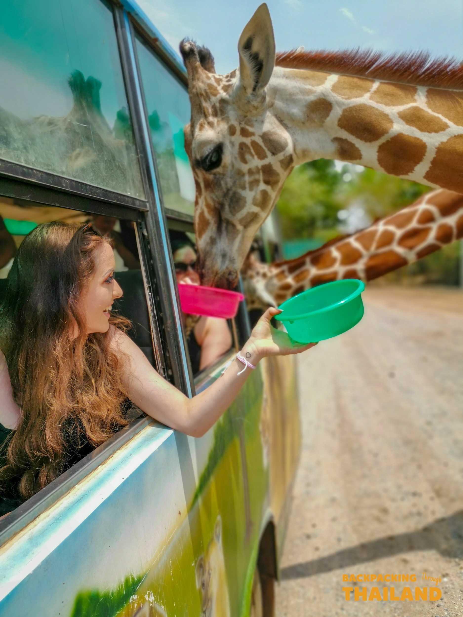 Smiling woman feeds a tall giraffe from a vehicle, enjoying an interactive wildlife experience.
