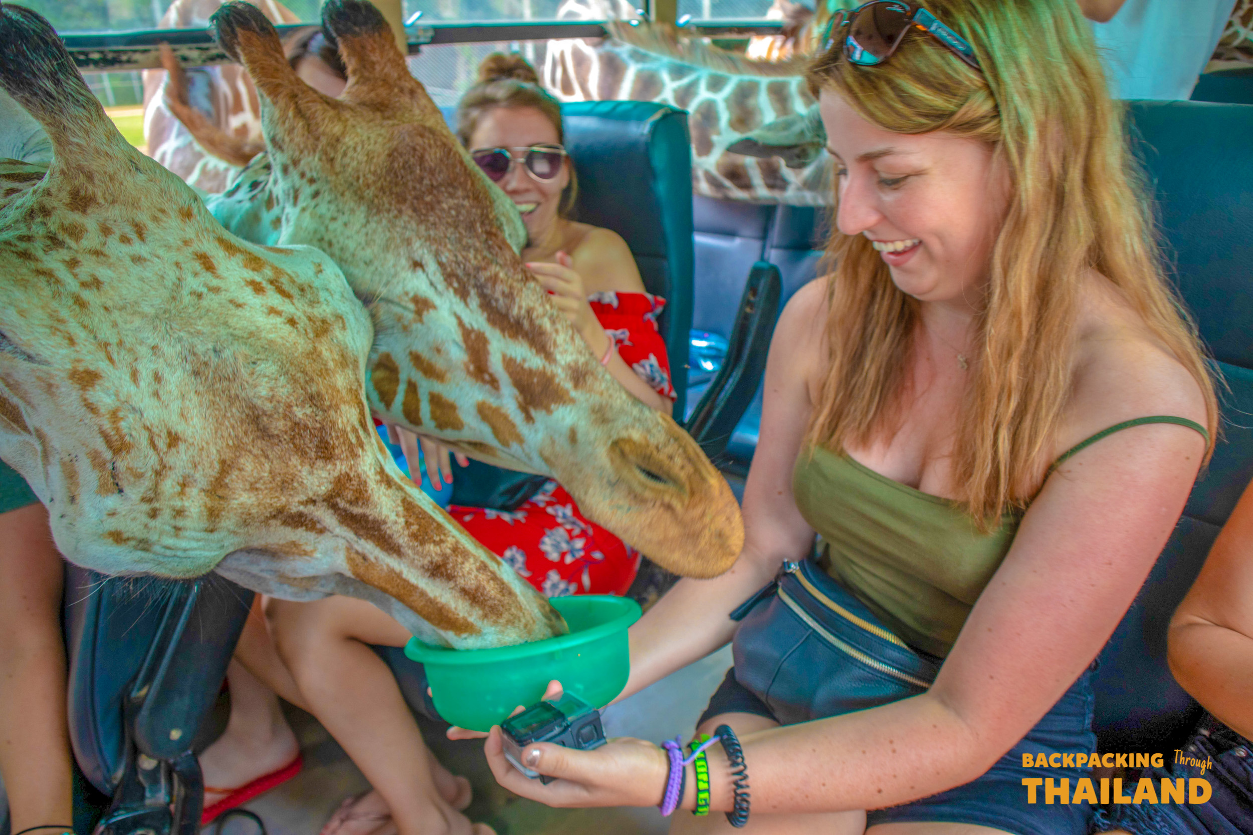 Smiling backpackers enjoy feeding giraffes from their open-air vehicle on a wildlife tour.
