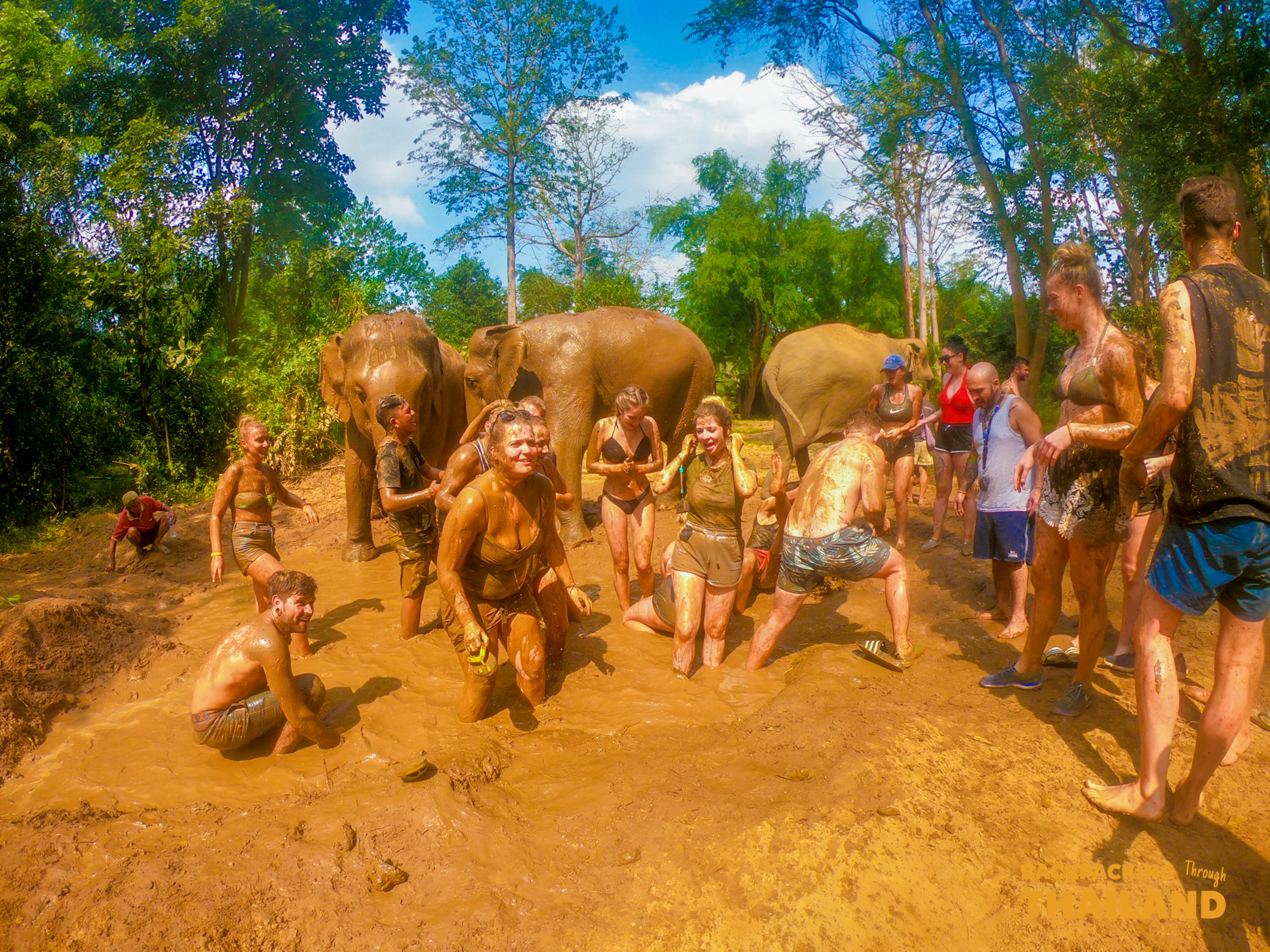 Joyful visitors and elephants share a muddy play session at a natural sanctuary in Thailand.