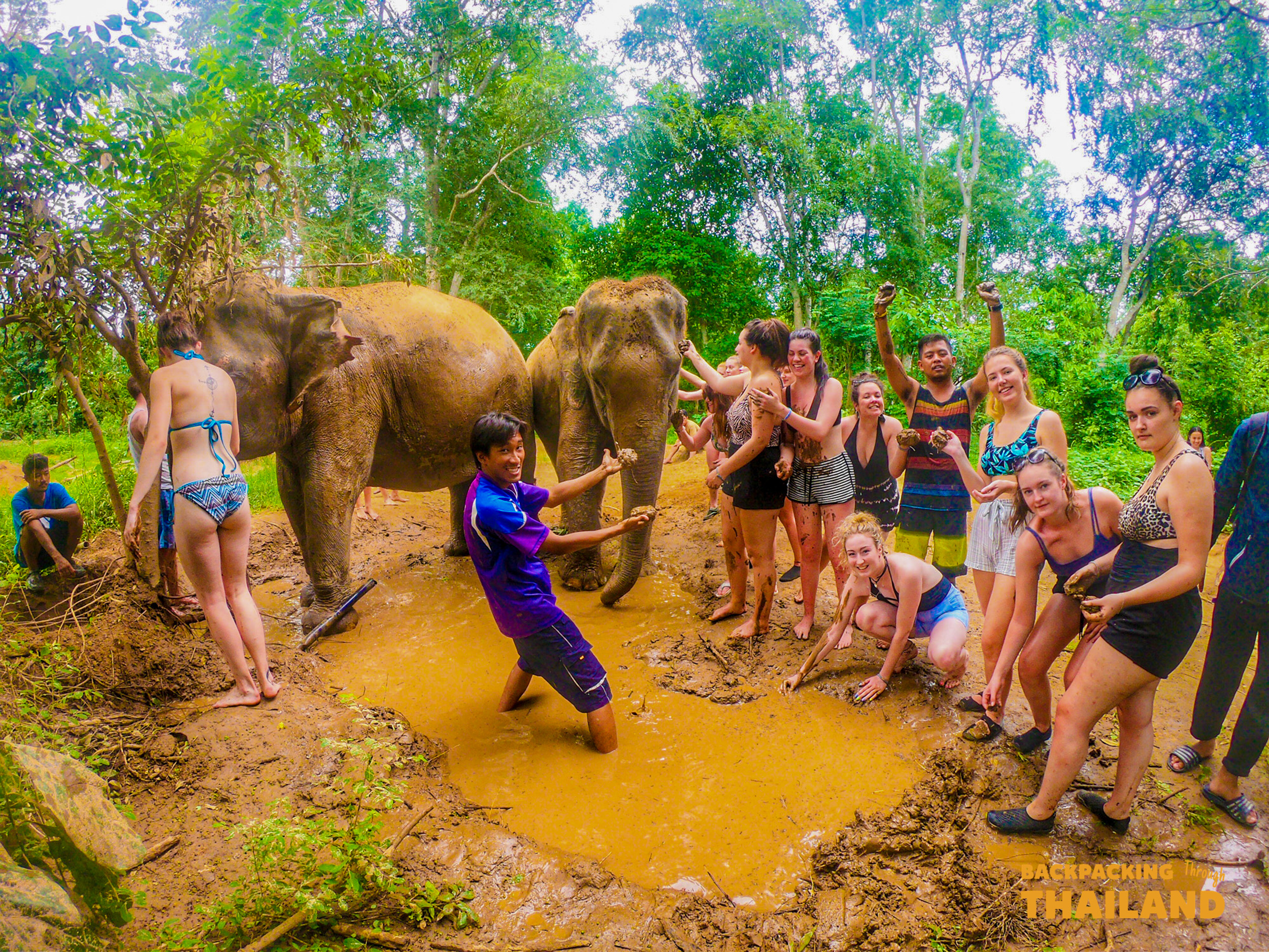 Backpacking group sitting with an elephant in a forest clearing during feeding time at the sanctuary
