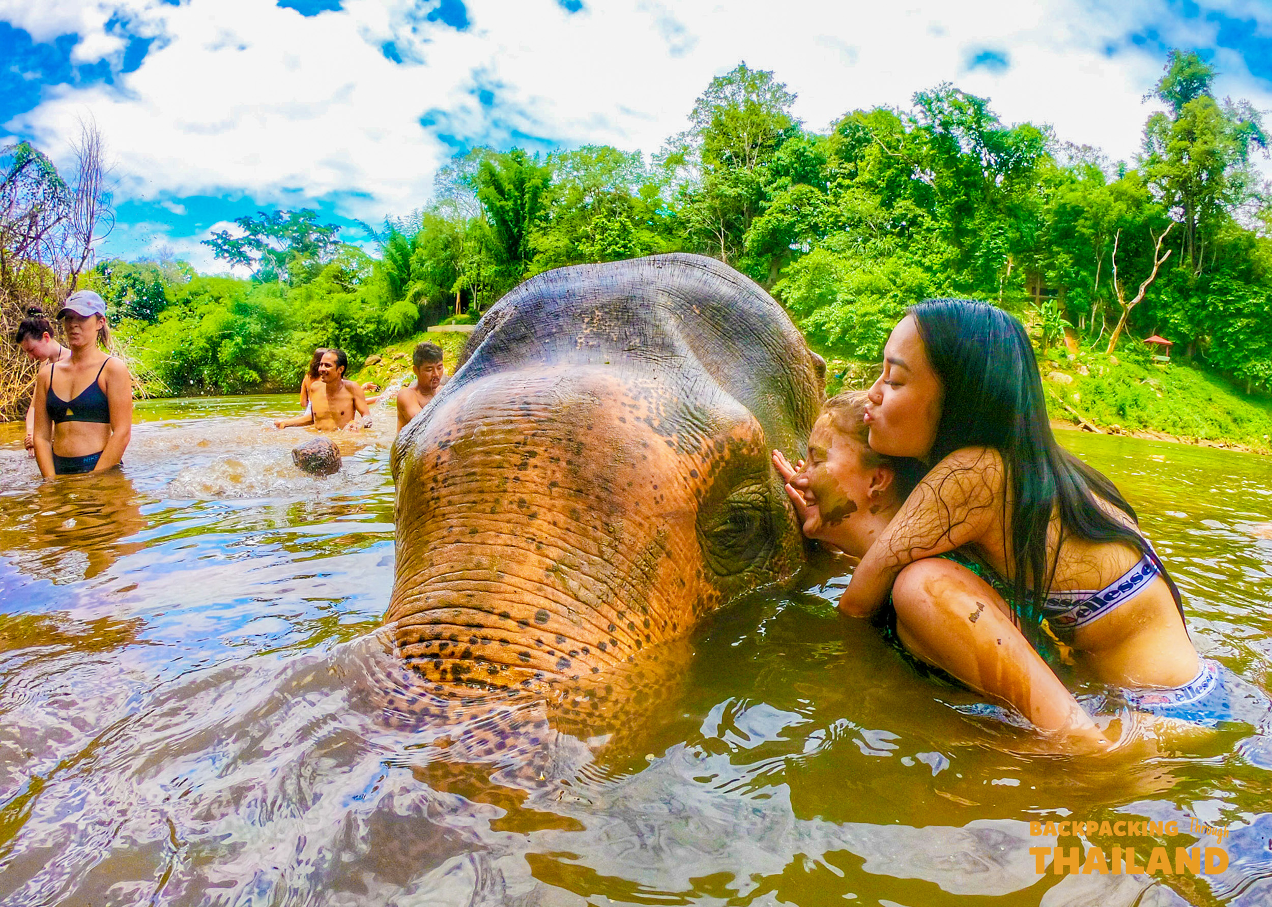 Backpacking traveller giving a mud bath to an elephant, hugging it in the river at the sanctuary