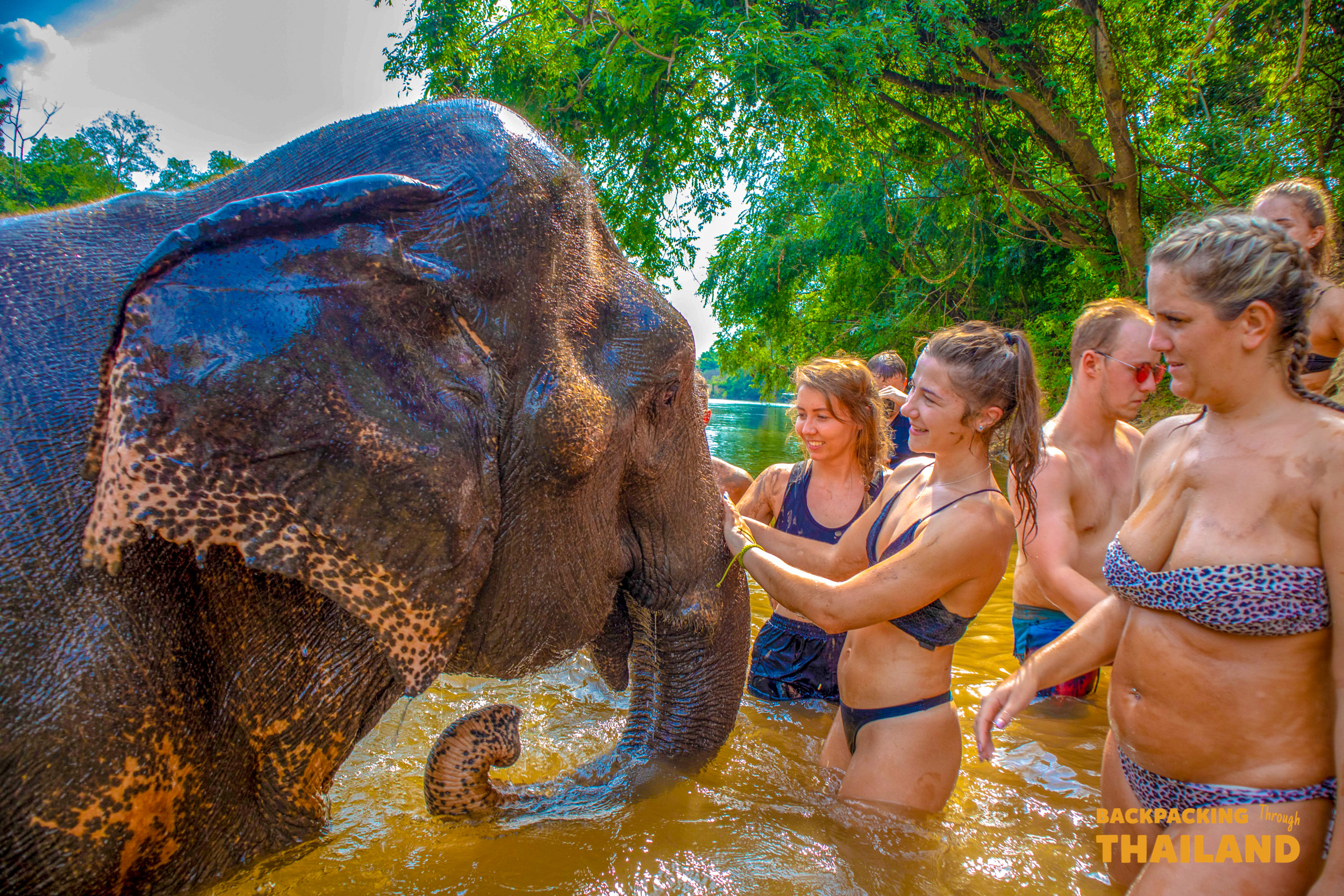 Backpacking group hugging and feeding an elephant in a forest clearing at the sanctuary