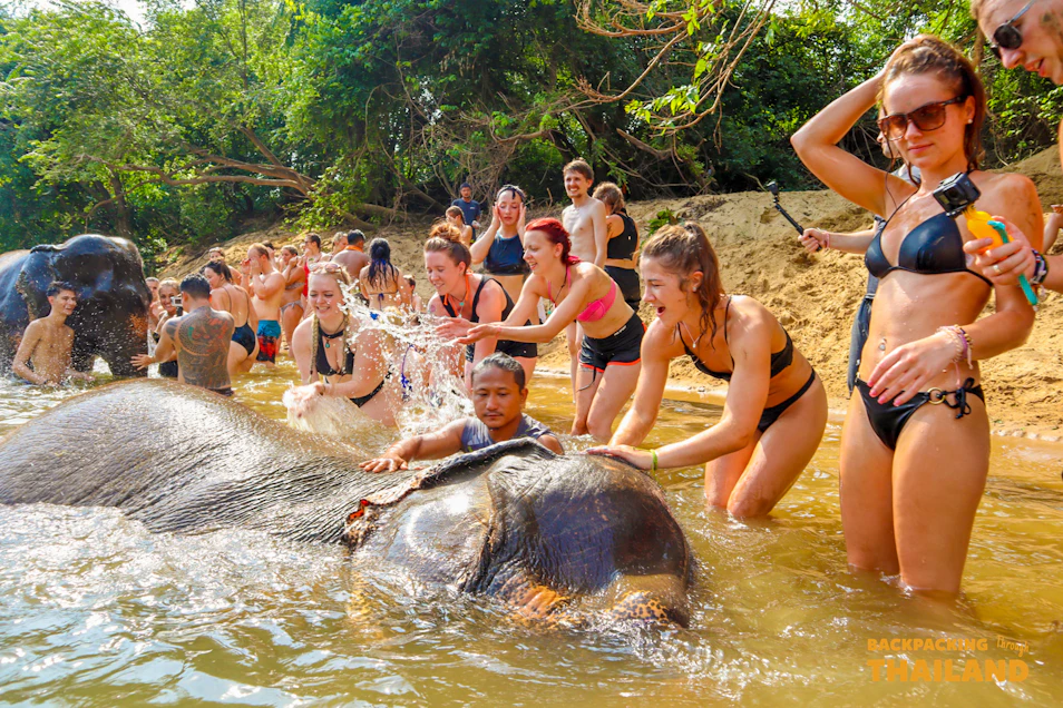 Happy tourists and guides splash water while bathing elephants in a tropical river in Thailand.