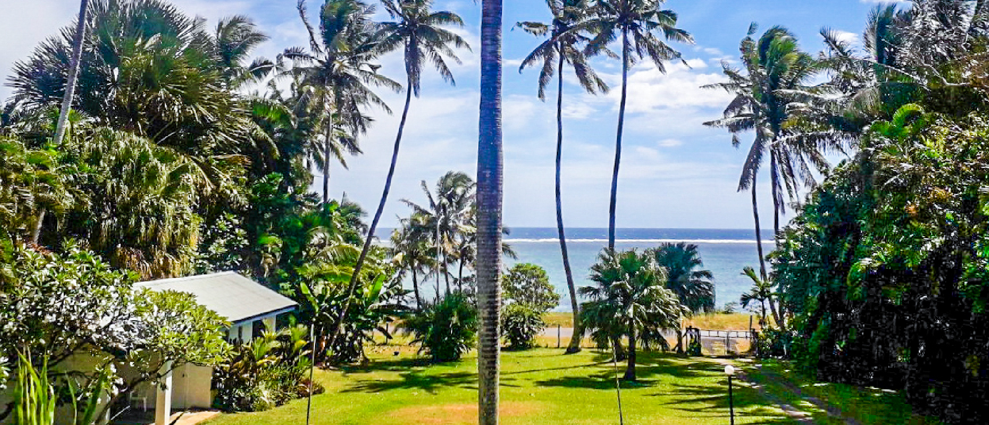 Lush tropical garden with tall palm trees, a small building, and the blue ocean.