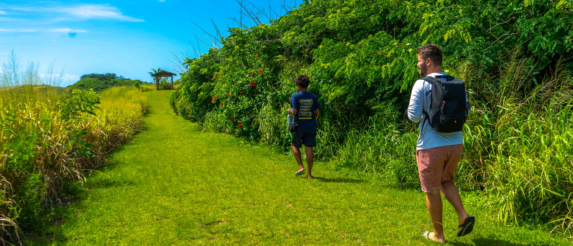 Backpackers explore a sunny grassy path leading to a distant gazebo amidst vibrant green foliage.