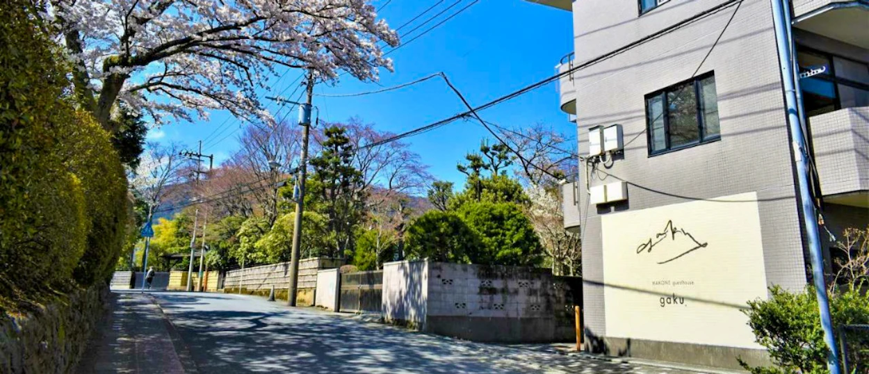 Blooming cherry blossoms line a quiet street in Hakone, Japan, on a sunny spring day.