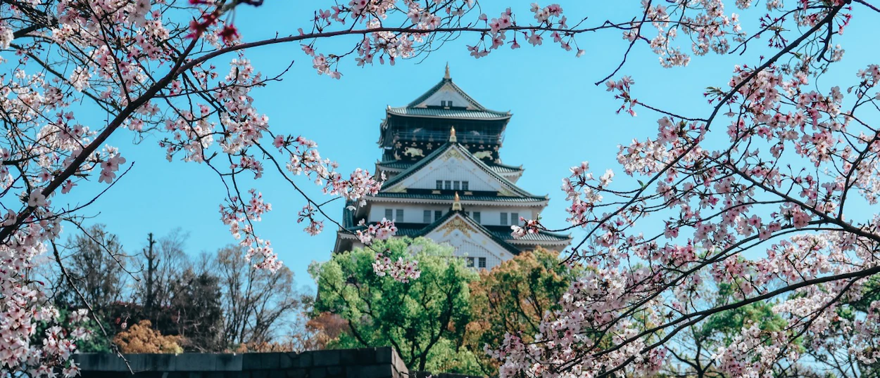 Osaka Castle framed by beautiful pink cherry blossoms against a clear blue sky.