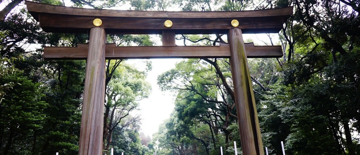 A large wooden torii gate stands tall, surrounded by dense green forest at Meiji Shrine in Tokyo.