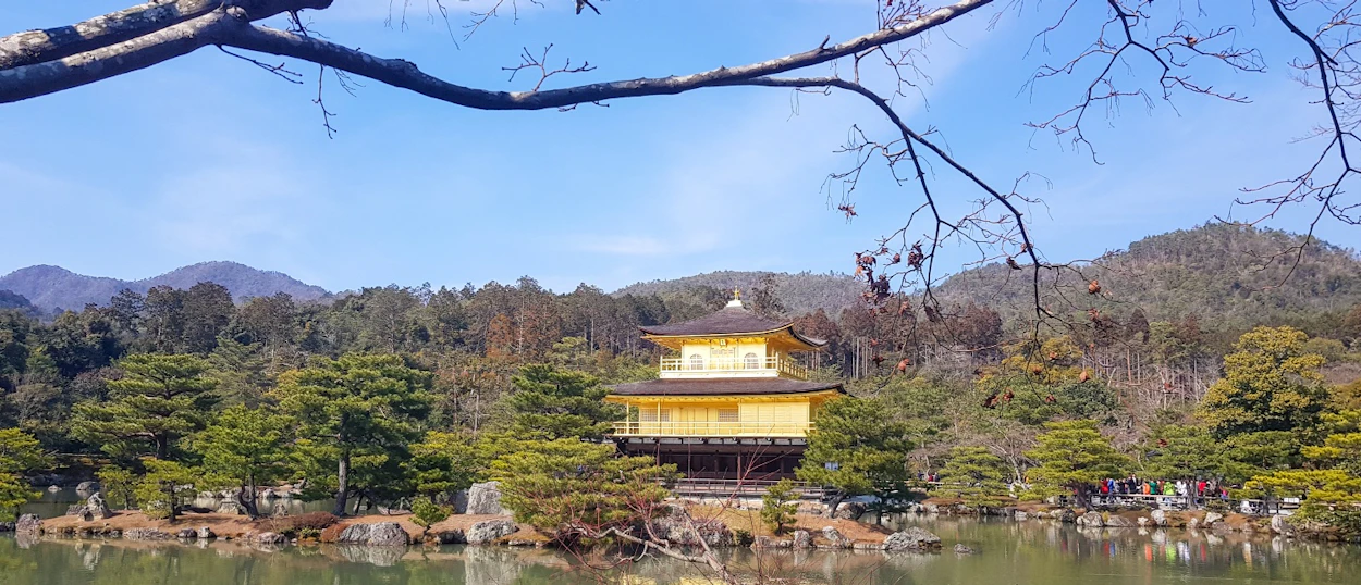 The iconic golden pavilion stands majestically by a serene lake, surrounded by green trees in Kyoto.