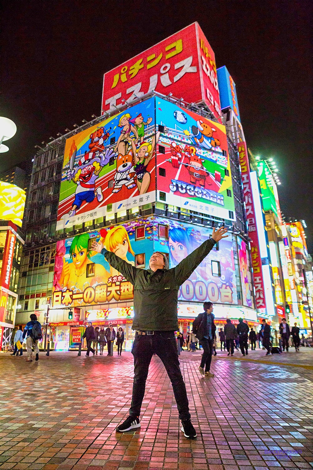Neon billboards towering over the crowds in Tokyo's Akihabara Electric Town