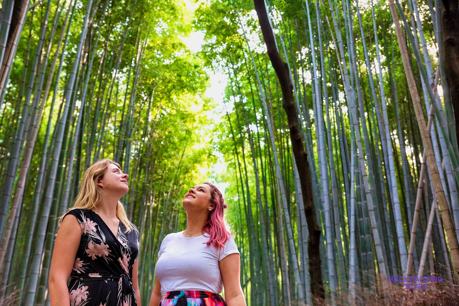 Two travellers looking up at the soaring green bamboo of Arashiyama in Kyoto