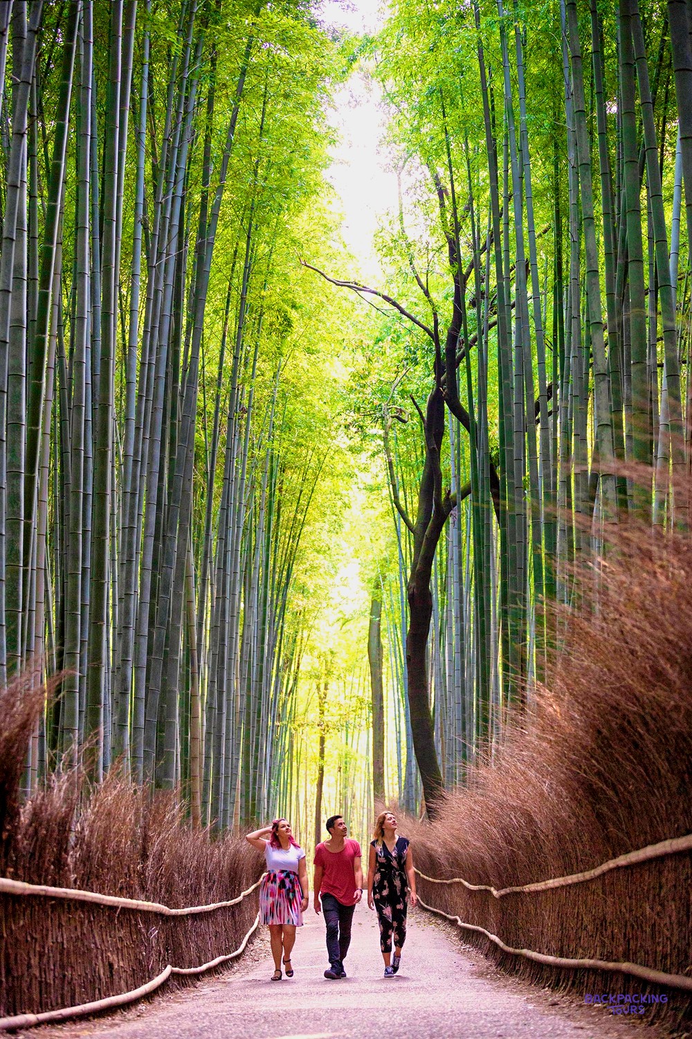Couple walking the fenced path through Kyoto's Arashiyama Bamboo Forest