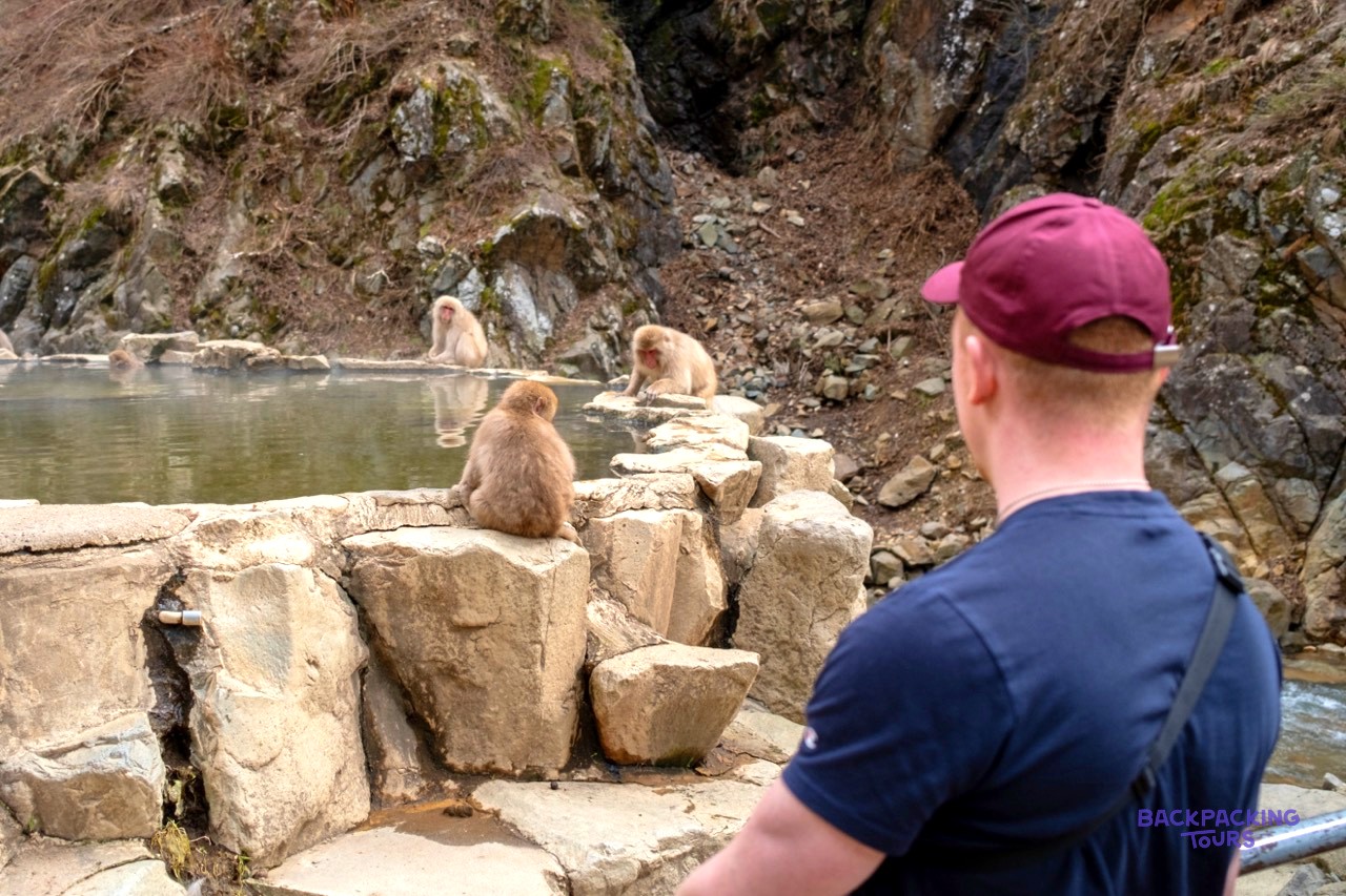 Travellers watching snow monkeys beside the hot springs near Nagano