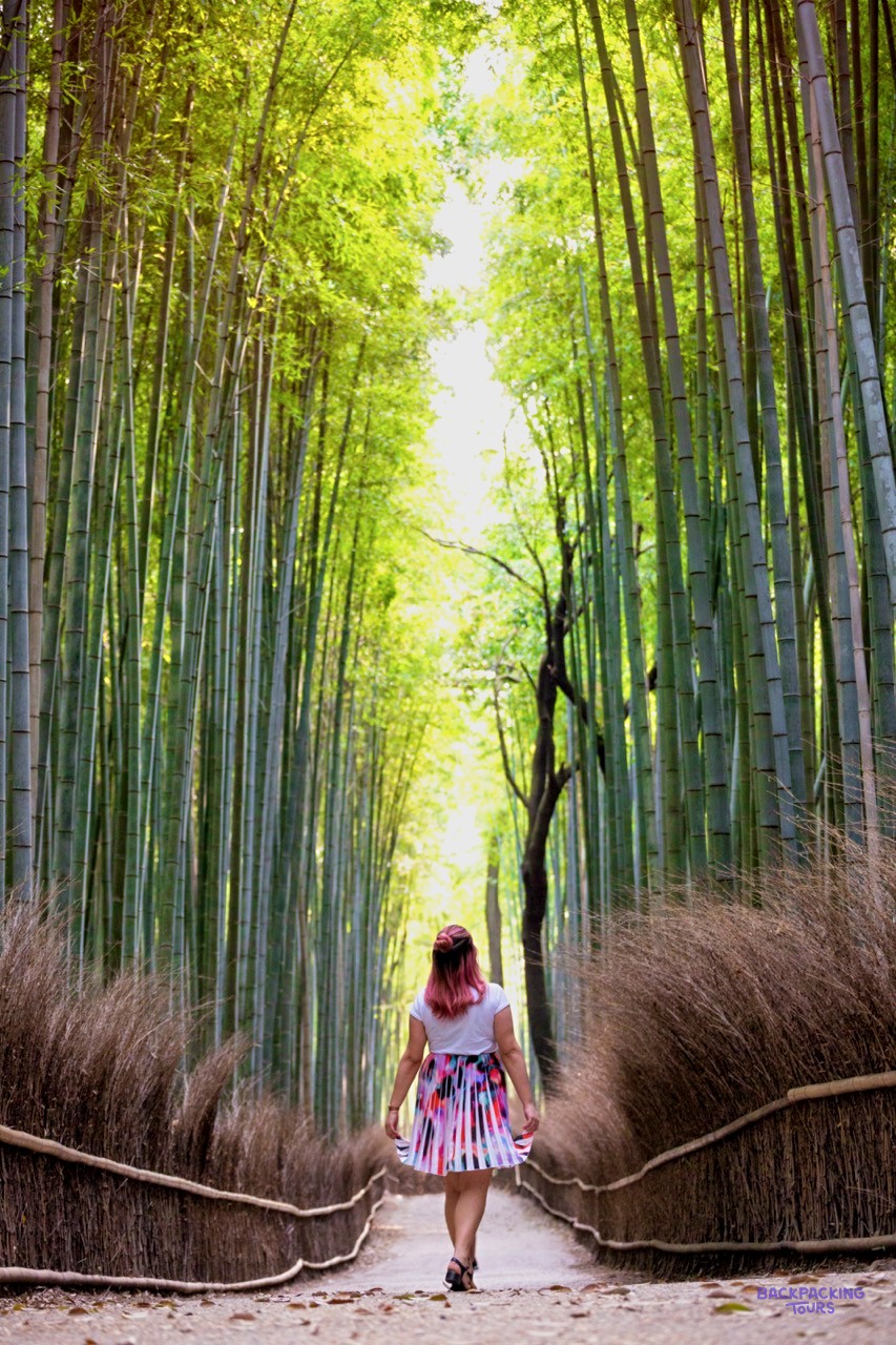 Traveller walking the path through Kyoto's bamboo grove