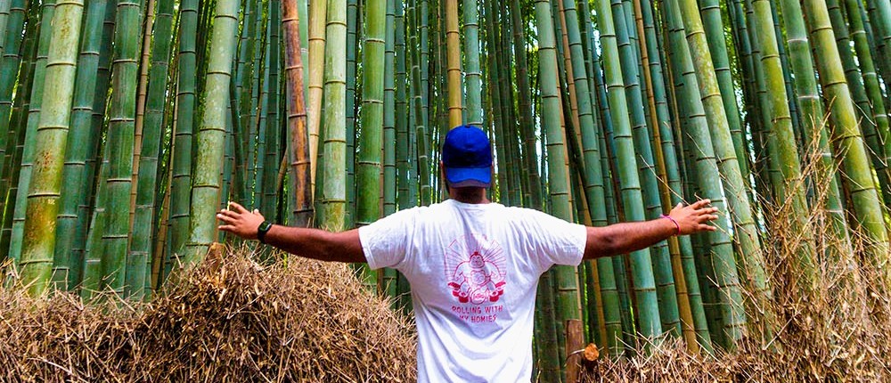 Traveller with arms outstretched among the towering stalks of Arashiyama Bamboo Forest