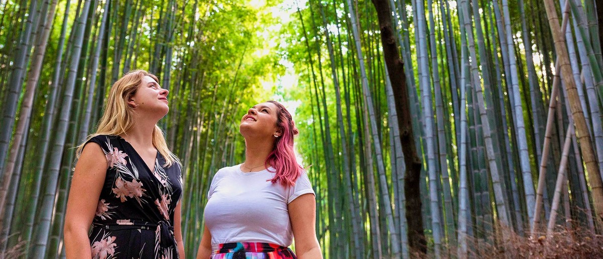 Two travellers looking up at the soaring green bamboo of Arashiyama in Kyoto