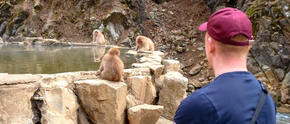 Travellers watching snow monkeys beside the hot springs near Nagano