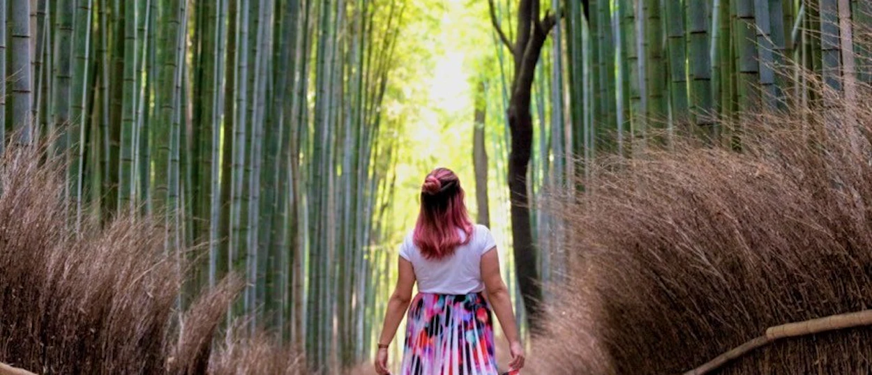 Traveller walking the path through Kyoto's bamboo grove