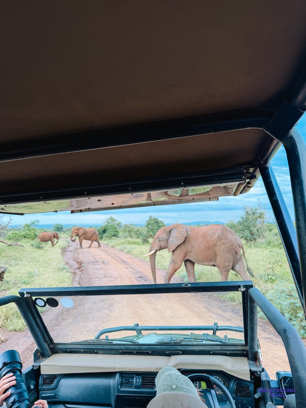 Elephants crossing a dirt track, seen through the windscreen of an open safari vehicle