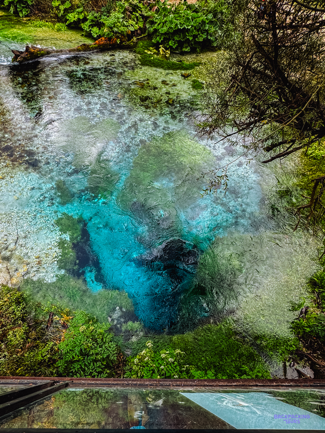 Clear turquoise water welling up from the deep pool of the Blue Eye spring