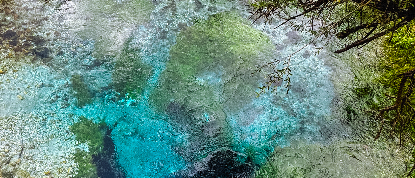 Clear turquoise water welling up from the deep pool of the Blue Eye spring