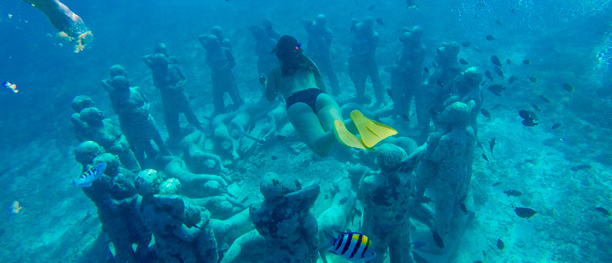 Snorkeler swimming with tropical fish and coral reef at Gili Trawangan
