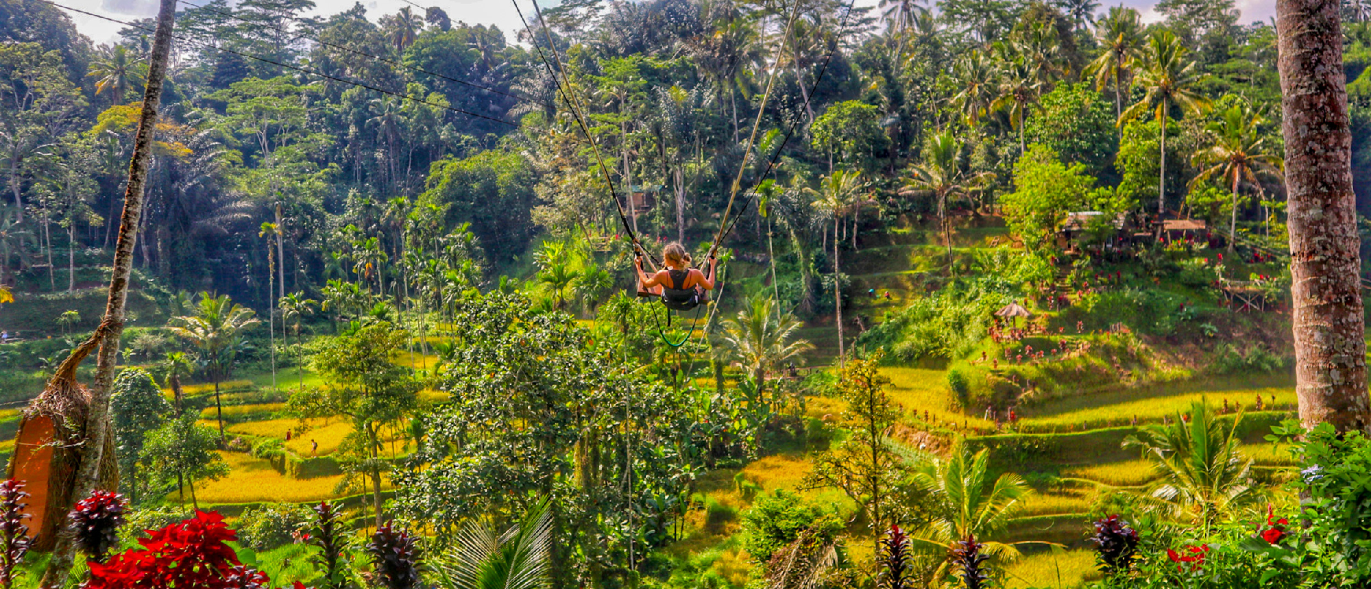 Scenic view of the lush Tegalalang Rice Terraces near Ubud