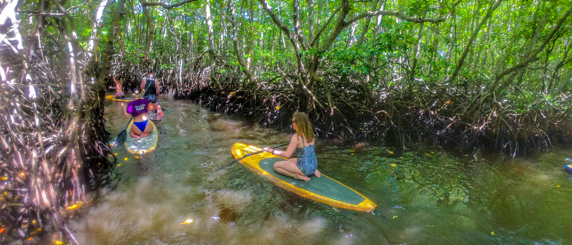 Aerial view of paddleboarding through mangroves in Nusa Lembongan