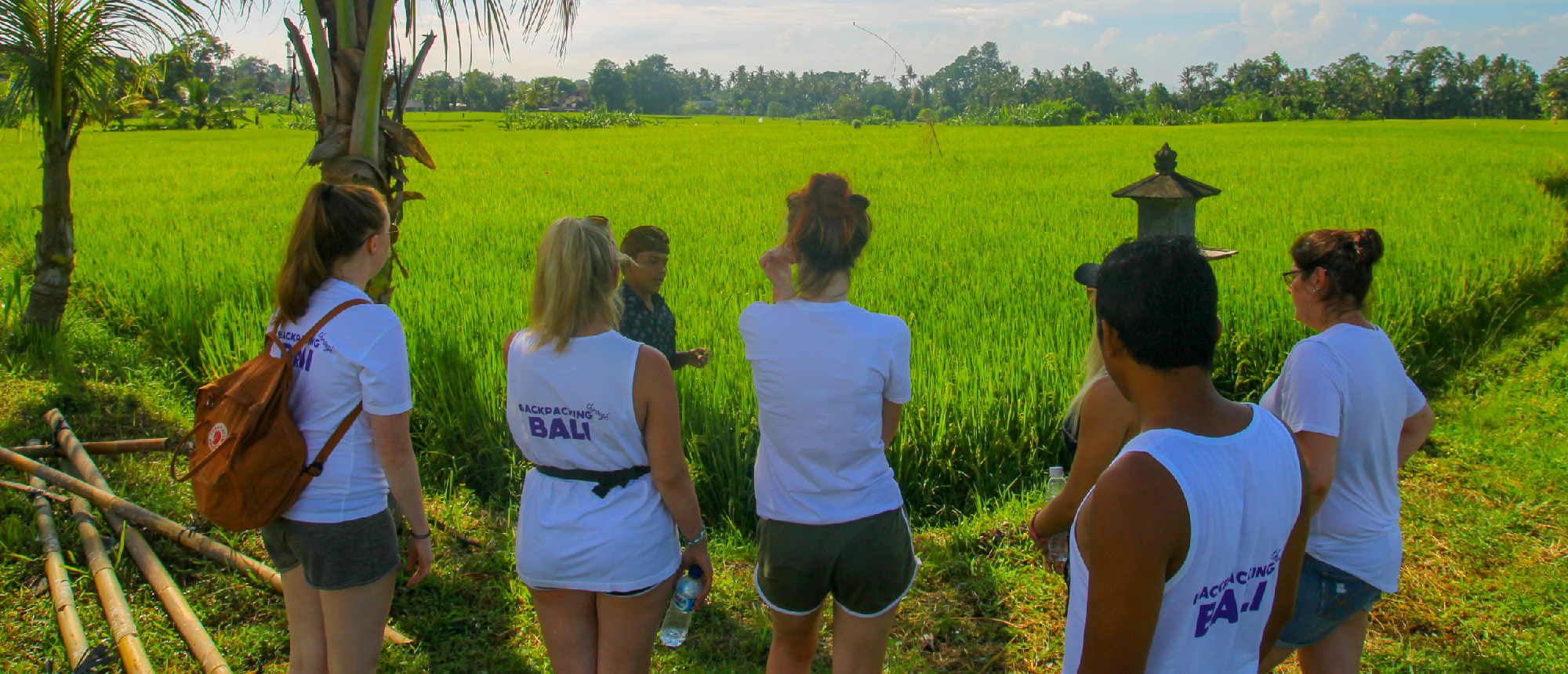 Group walking through rice terraces in Tegallalang, Ubud