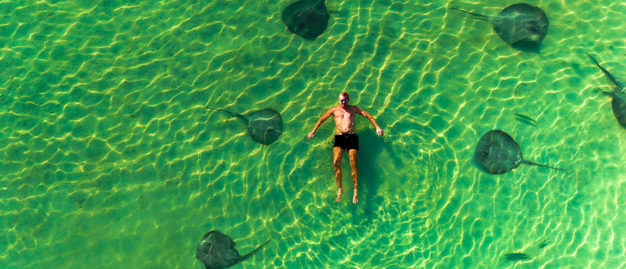 Stingrays in the shallows off Caye Caulker, Belize