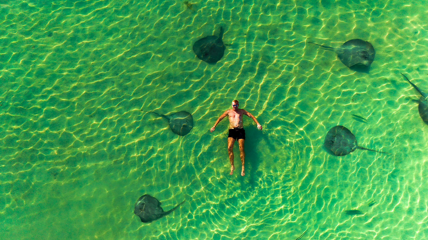 Swimming with stingrays in the clear Caribbean shallows off Caye Caulker, Belize.