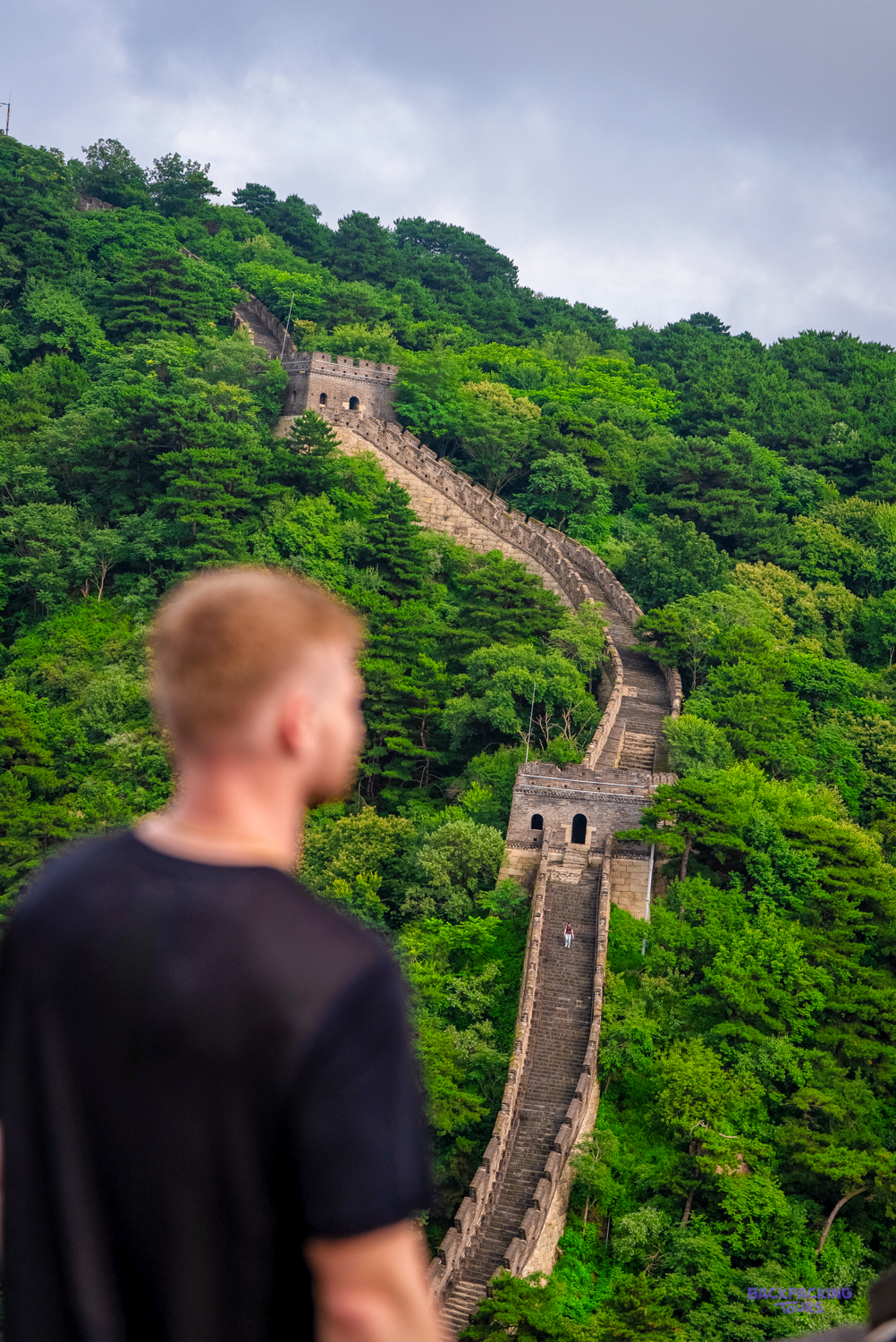 A traveller looks out at the Great Wall winding over steep, tree-covered hills to a watchtower.