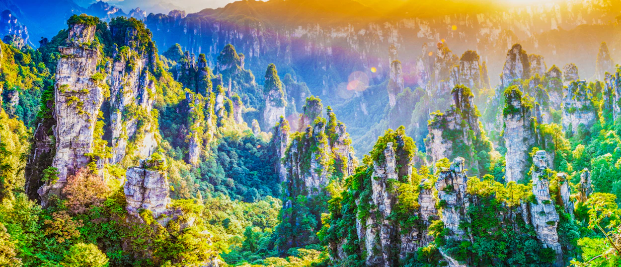 Majestic pillar mountains covered in lush green foliage under a bright, golden sky in Zhangjiajie.
