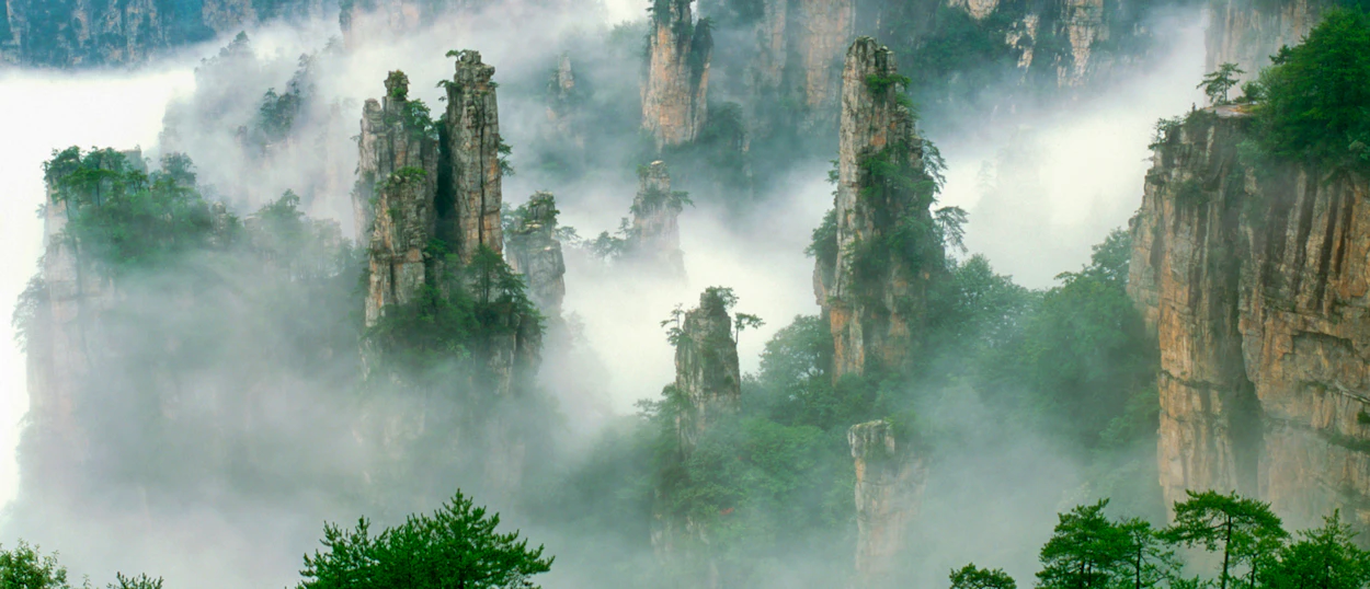 Tall, misty sandstone pillars rise from clouds in the enchanting Zhangjiajie National Park.