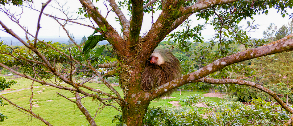 Manuel Antonio National Park