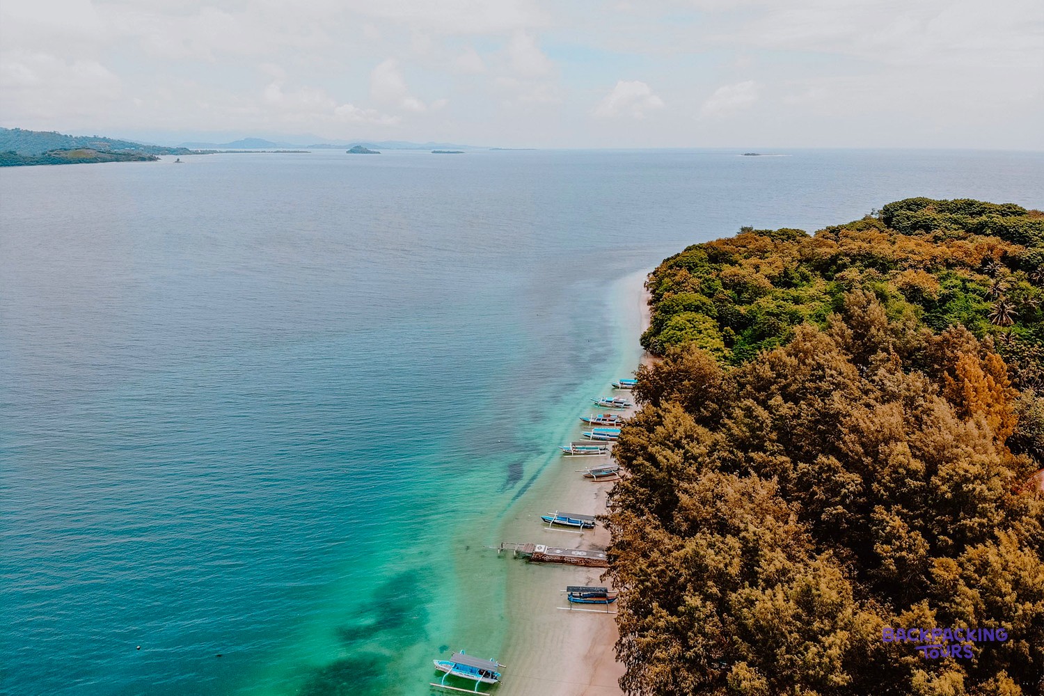 Numerous colourful boats are moored along a pristine sandy beach beside a dense tropical forest.