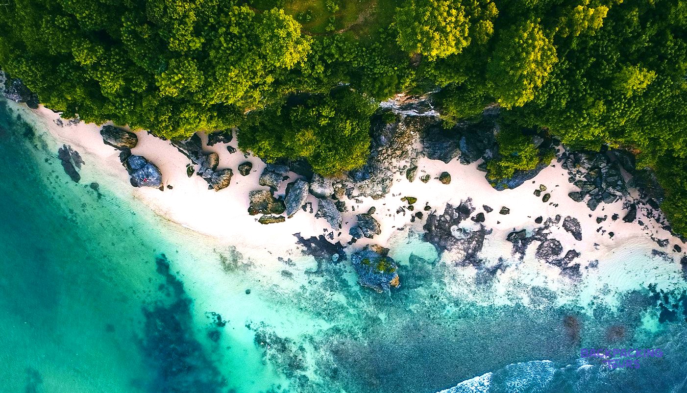 Lush green trees line a white sandy beach with scattered rocks beside clear turquoise ocean water.