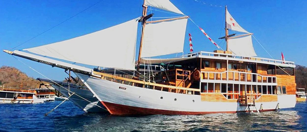 A large wooden boat with white sails floats on blue water under a clear sky, with hills in the background.