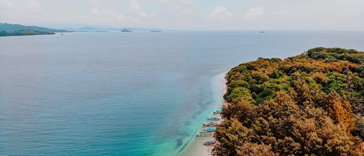 Numerous colourful boats are moored along a pristine sandy beach beside a dense tropical forest.
