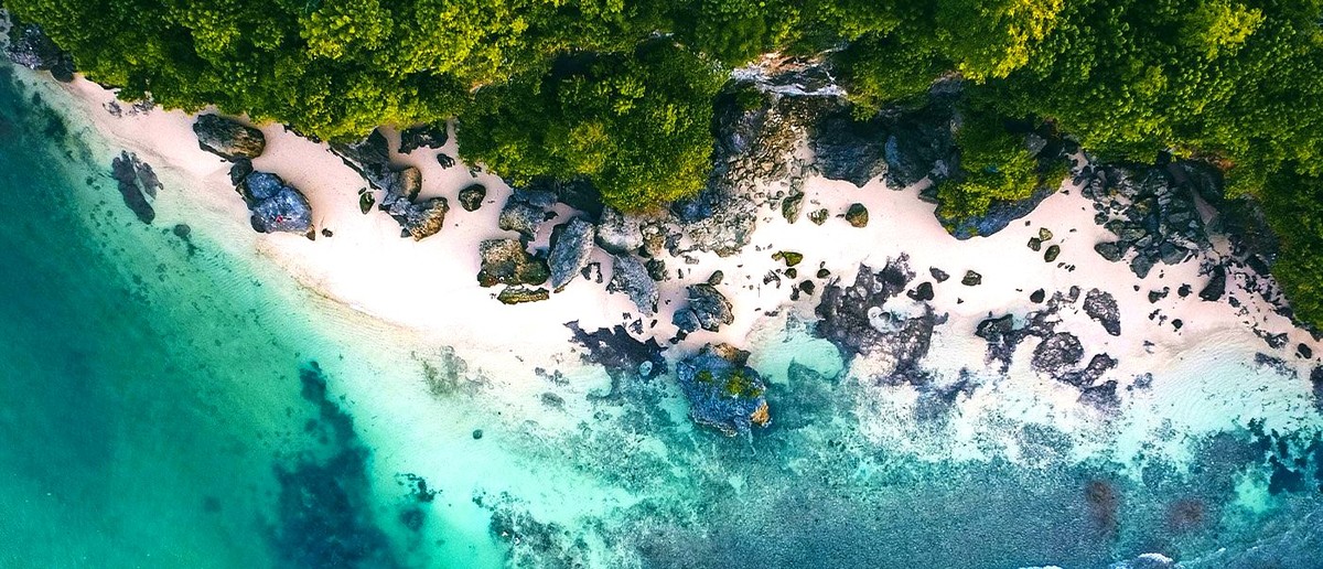 Lush green trees line a white sandy beach with scattered rocks beside clear turquoise ocean water.