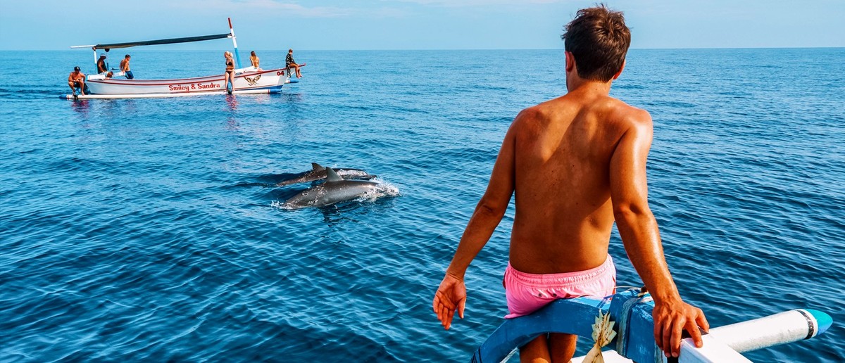 A man on a boat watches two dolphins swimming near another boat on the blue ocean.
